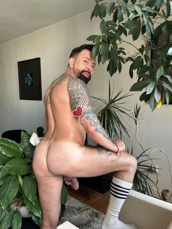 Foto de Mat Lion