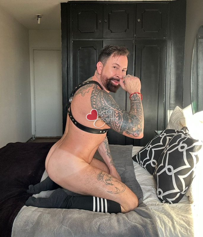 Foto de Mat Lion