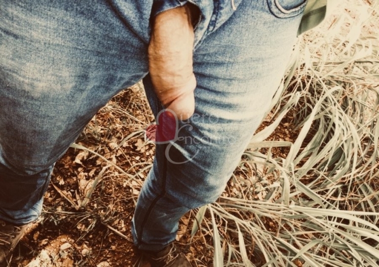 Foto de Goiano Dotado