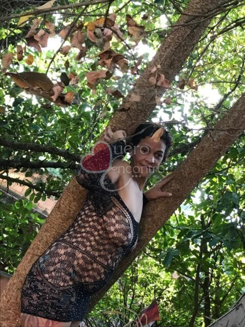 Foto de Rosa morena